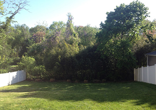 Big Backyard for the Entire Family